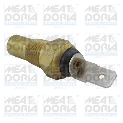 Sensor, coolant temperature
